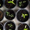 18 Sustainable Gardening Practices to Transform Your Garden in 2025 🌿 ...