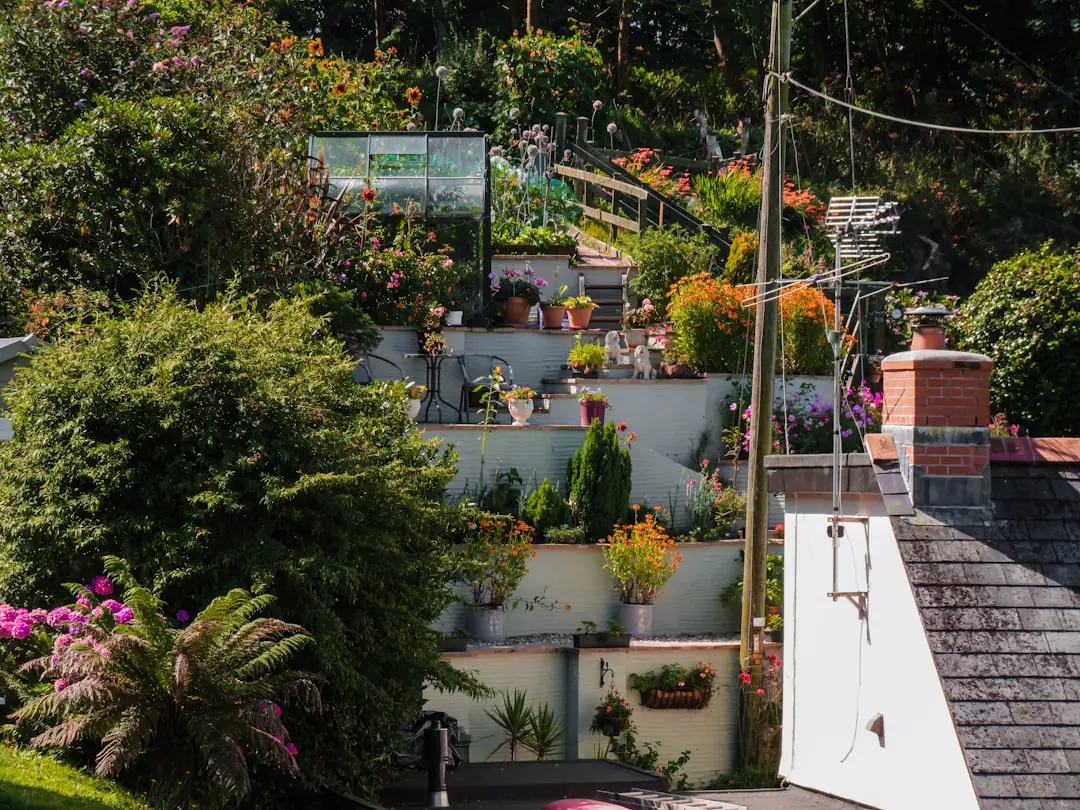 a bunch of plants that are on a wall