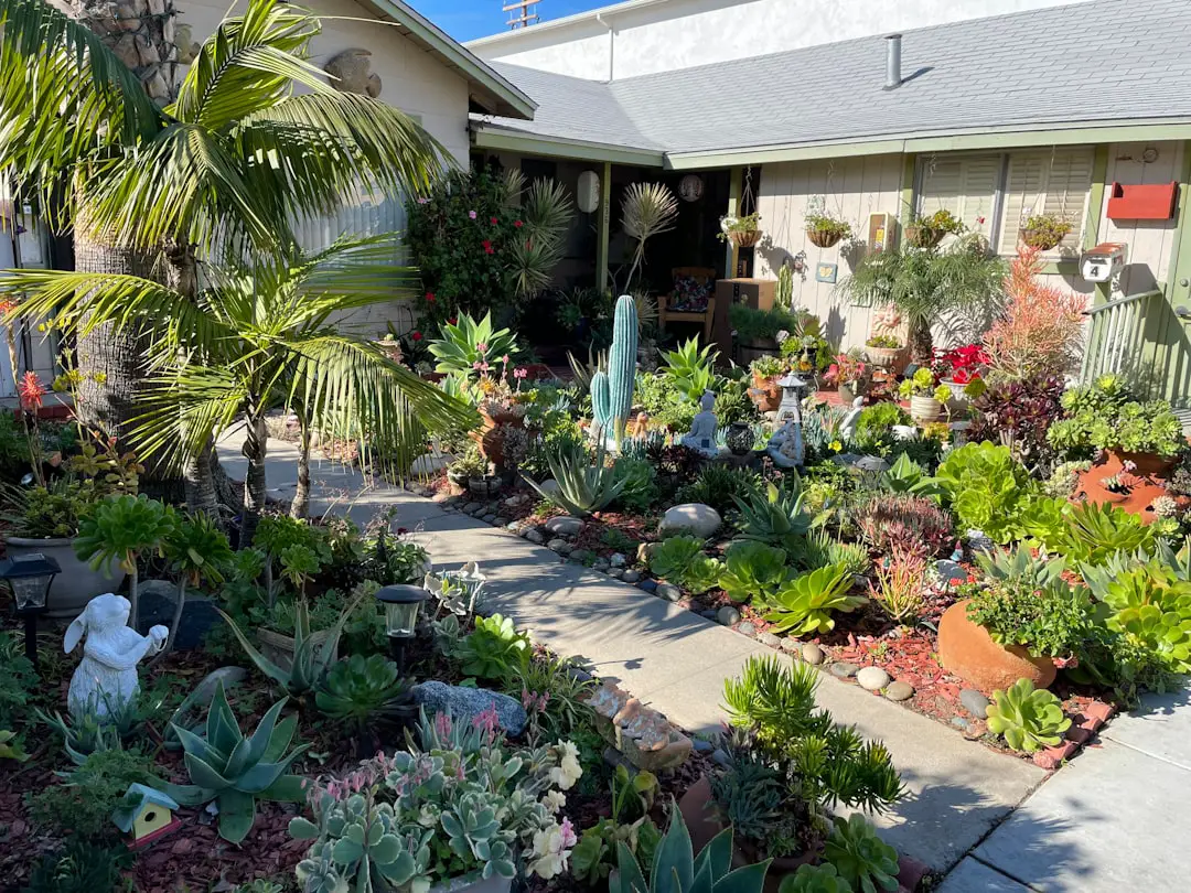 a house with a lot of plants in front of it