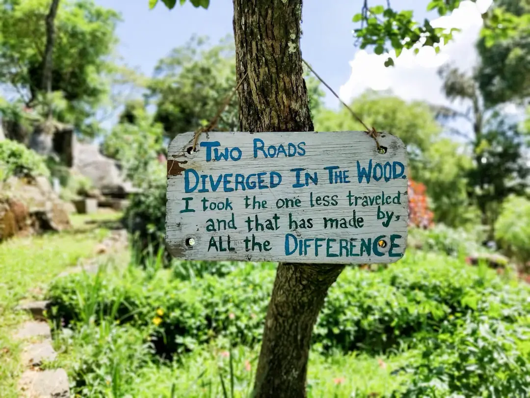 blue and white wooden signage