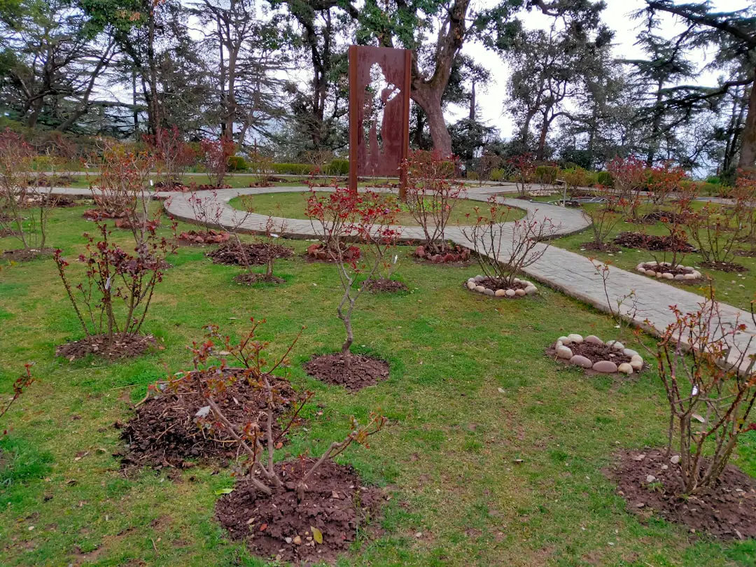 a park with a walkway and a lot of trees