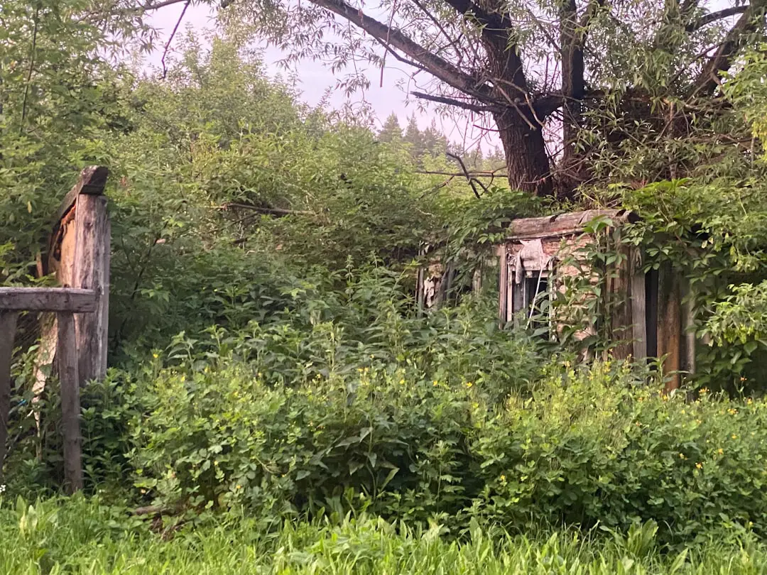 An old run down building in the middle of a field