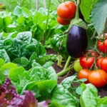 Featured image for What Is the Purpose of a Community Garden 10 Surprising Benefits 2025
