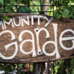 Featured image for 10 Organic Pest Management Hacks for Thriving Community Gardens 2025