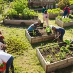 Featured image for 12 Permaculture Principles for Thriving Community Gardens 2025