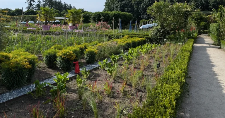 Featured image for 12 Secrets to Successful Community Gardens in 2025