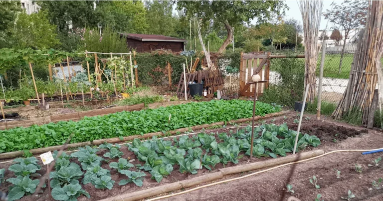 Featured image for 12 Surprising Benefits of Vegetable Gardening for Home Community 2025