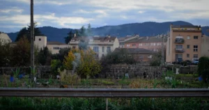 Featured image for What Are 3 Benefits of a Community Garden Discover the Power of Green 2025