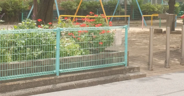 Featured image for How Do You Build a Community Garden at School 10 Essential Steps 2026