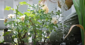 Featured image for 10 Powerful Ways to Foster Community Bonds Through Gardening 2026