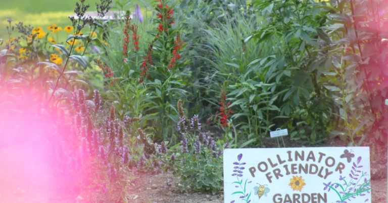 Featured image for 10 Proven Ways to Encourage and Influence Others to Love Gardening 2026