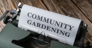 Featured image for What Tools Resources Make a Community Garden Thrive 2026