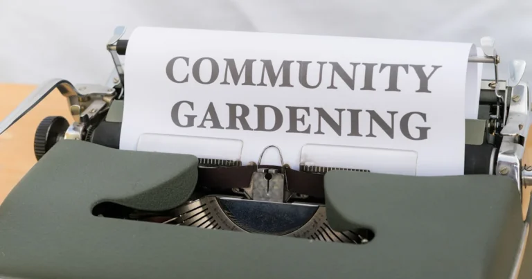 Featured image for 10 Surprising Community Garden Benefits Backed by Study 2026